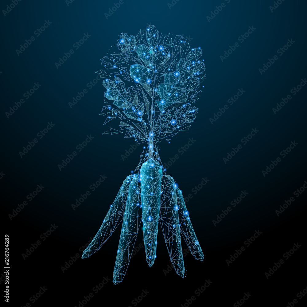 Poster abstract image of a vegetables bunch of carrots in the form of a starry sky or space, consisting of 