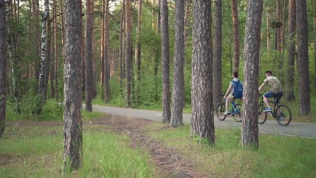 cyclists ride a bike path in the forest