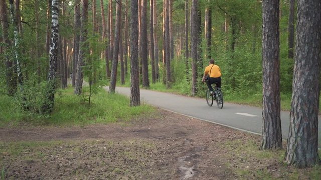 cyclists ride a bike path in the forest