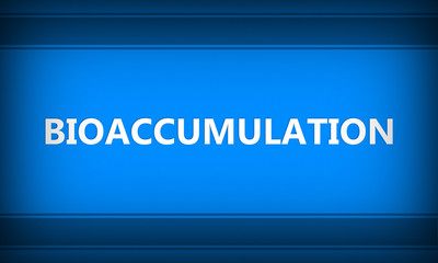 Bioaccumulation