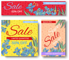 Colorful sale 50% off cards and banner with eucalyptus.