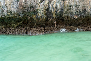 Monkeys on Beautiful Bay Tropical Beach blue ocean background