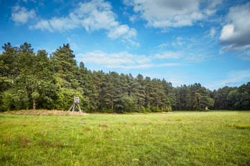 Wooden deer hunting platforms on the edge of a forest.