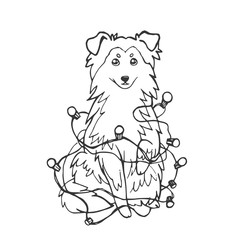 Sheltie Shetland Sheepdog dog or ollie in a New Year s garland