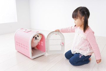 犬のお世話をする子ども