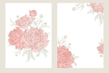 Wedding invitations. Vintage greeting cards with flowers and foliage of peonies set.