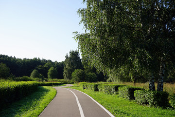 Road in park