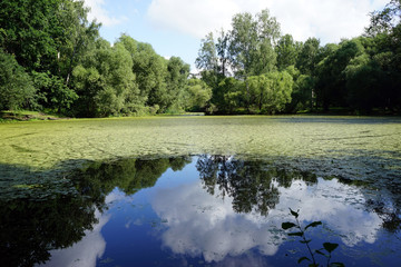Pond in park