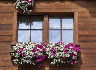 Fototapeta na wymiar Traditional flowered windows at the Italian Alps and dolomites