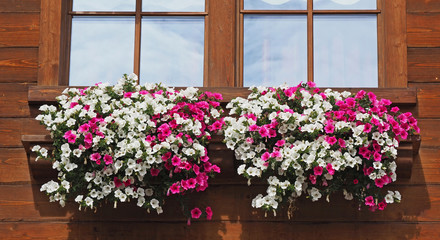 Traditional flowered windows at the Italian Alps and dolomites
