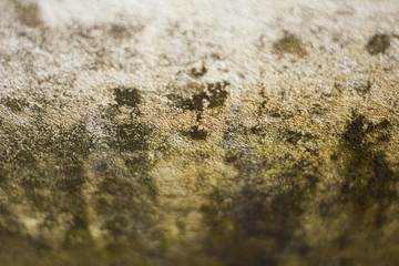 The lust on the wall