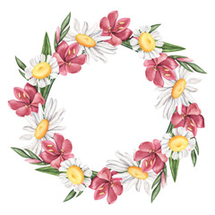 Wreath of wild summer flowers - daisy, camomile and pink lily, watercolor illustration isolated on white background. Watercolor white and pink wild, meadow flower wreath, round composition