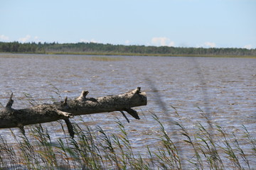 großer See im Baltikum 2
