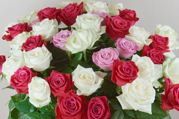 A large bouquet of red, pink and white roses close-up. Congratulations on the holiday. Love and tenderness.