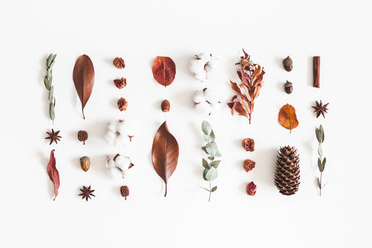 Autumn composition. Pattern made of eucalyptus branches, cotton flowers, dried leaves on white background. Autumn, fall concept. Flat lay, top view, copy space