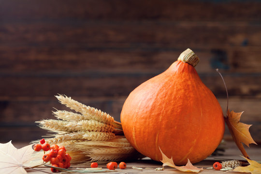 Seasonal autumn background with pumpkin decorated with fall leafs and wheat. Harvest time.