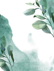 Vertikaler Hintergrund aus grünen Eukalyptusblättern und grünem Farbspritzer auf weißem Hintergrund