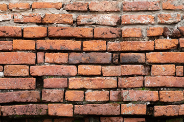 Background of old brick wall with vintage. For background concept.