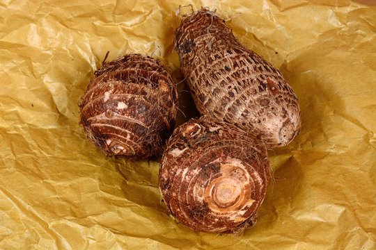 Three whole raw Eddoes on brown paper.