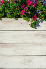 White aged board decorated with flowers
