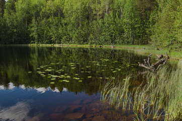Lake Pulong on the Kola Peninsula, Russia