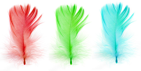 Obraz premium red green blue feathers isolated on white