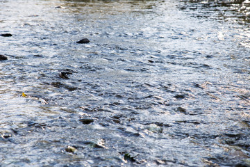 fließender fluss im sommer