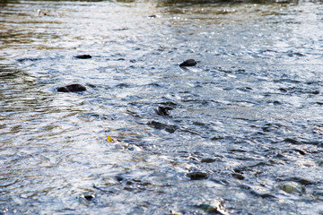 flie&szlig;ender fluss im sommer