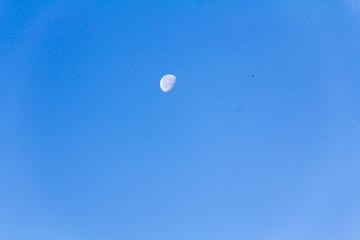 Clear cloudless sky and visible moon