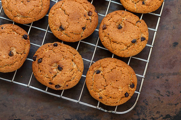 Home freshly baked oatmeal and chocolate chips cookies on cooling rack. Healthy snack for Breakfast