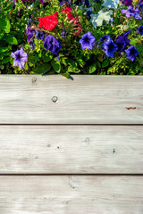 Aged wooden planks and floral decoration