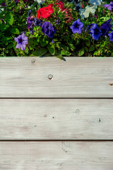 Fototapeta na wymiar White wooden planks and floral decoration