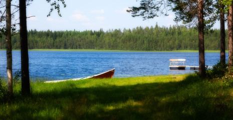 Summer landscape - lake shore in sunny day