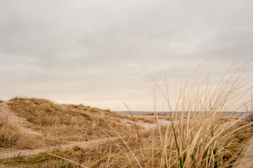 Obraz premium Grassy Sand Beach In Cloudy Winter Storm