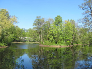 Fototapeta na wymiar Summer landscape with a lake