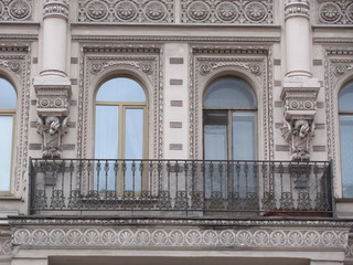 Tulips in the flowerbed