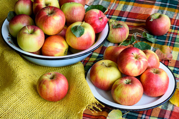 Yellow-red apples in a dish on a table with a checkered tablecloth