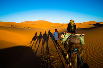 Tourist is riding a camel in caravan over the sand dunes in Sahara desert with strong camel shadows...