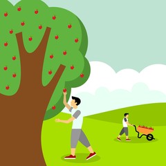 Obraz na płótnie Canvas Picking apple fruit illustration
