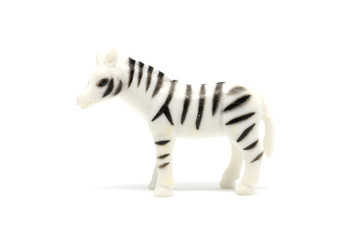 Zebra model isolated on white background, animal toys plastic