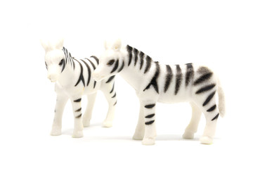 Fototapeta na wymiar Zebra model isolated on white background, animal toys plastic