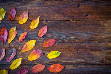 Fototapeta na wymiar Autumn composition with colorful leaves