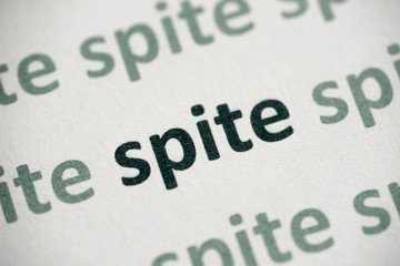 word spite printed on paper macro