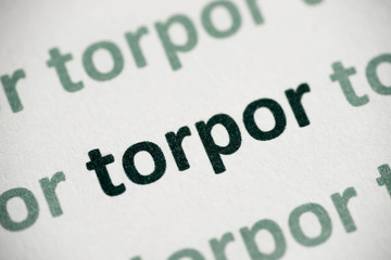 word torpor printed on paper macro