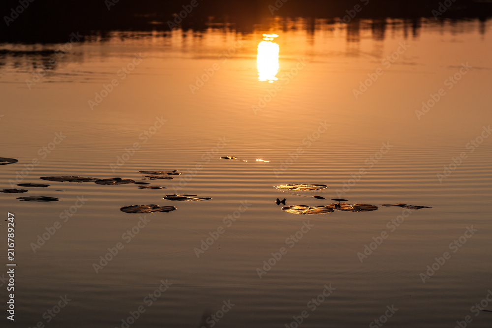 Wall mural Landscape - sunset on the lake