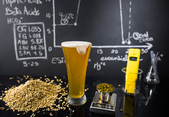 Beer Science ! Black Board with Graph, Data and Specs, Hops, Grains and Tools About the Production Process