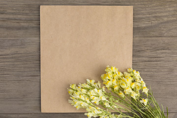 Antirrhinum yellow flowers with craft paper blank on old grunge wooden background. Top view. Minimalistic mockup.