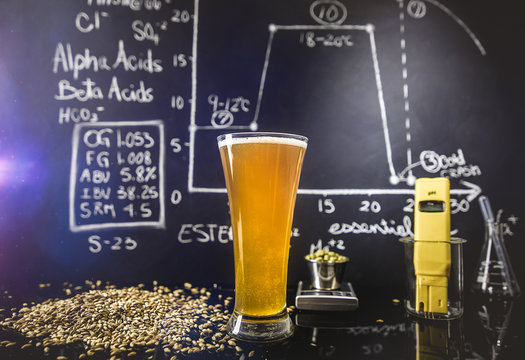 Beer Science ! Black Board with Graph, Data and Specs, Hops, Grains and Tools About the Production Process