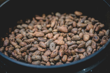 Dark brown cocoa beans