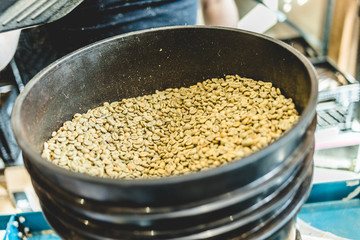 Crop worker pouring raw coffee beans in roaster